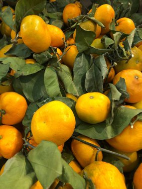 Markette yaprakları olan mandalinalar.