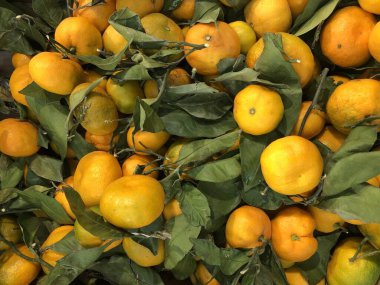 Markette yaprakları olan mandalinalar.