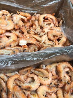 Piyasada büyük karides