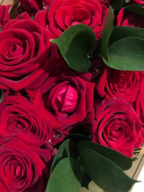 Güzel kırmızı güller buketi