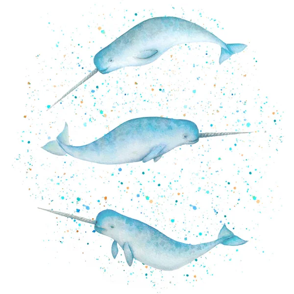 Набор Акварельных Голубых Нарвал Краской Красочные Брызги Белом Фоне Иллюстрация — стоковое фото