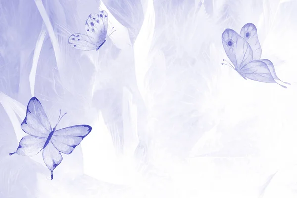 Abstract Very Peri Color Wedding Horizontal Butterfly Background Pastel Light — Stockfoto