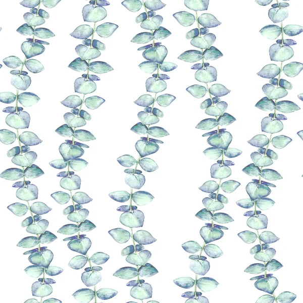 Nahtloser Hintergrund Mit Eukalyptuszweigen Und Blättern Aquarell Aquarell Handgezeichnet Grün — Stockfoto