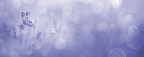 Луг Дикие Цветы Травы Травы Горизонтальный Фиолетовый Фон Бабочкой Акварель — стоковое фото