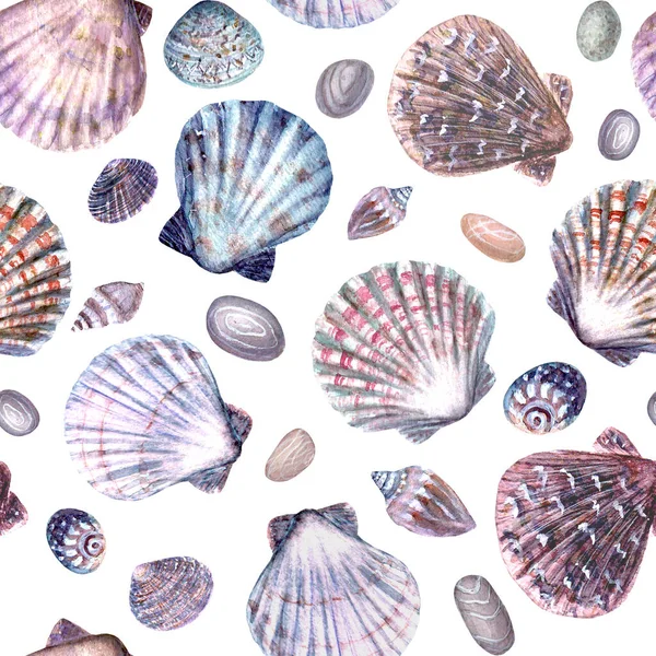 Akvarelová Mušle Bezešvé Kamenné Vzory Ručně Kreslené Mořské Skořápky Oblázky — Stock fotografie