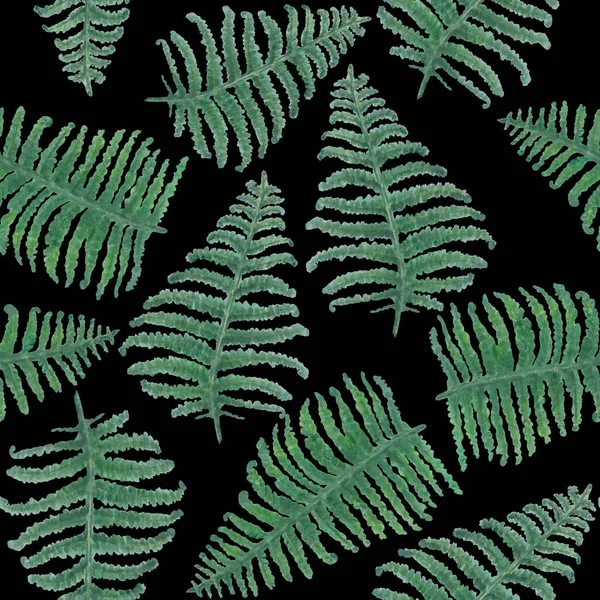 Naadloze Aquarel Patroon Met Groene Varens Takken Zwarte Achtergrond Aquarel — Stockfoto