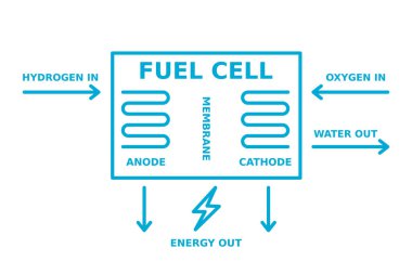 Hidrojen yakıt hücresi. Elektrik üreten kimyasal reaksiyon. H2 enerji üretimi. Sürdürülebilir ve yenilenebilir, güç kaynağı. Anode, katot, zar diyagramı. Vektör illüstrasyonu, taslak, klip sanatı. 