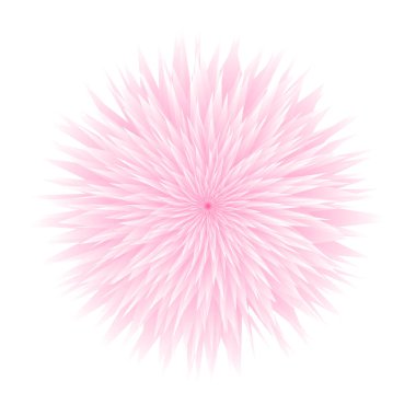 Beyaz arka planda pembe paskalya. Çiçek açmış. Soyut arkaplan tasarımı ögesi. Çiçek desenli suluboya. Sonbahar kasımpatısı papatyası. Bahar çiçeği fikri. Vektör illüstrasyonu, düz, klip sanatı. 