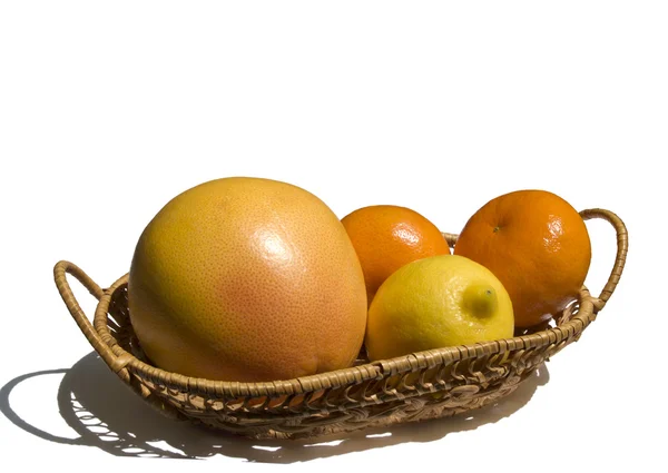 Citrus — Stock Photo, Image