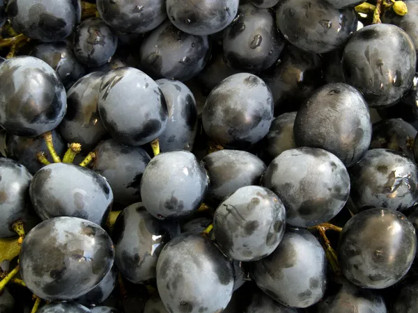 As uvas — Fotografia de Stock