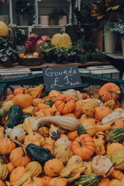 Londres Reino Unido Octubre 2021 Variedad Calabazas Con Precio Puesto —  Fotos de Stock