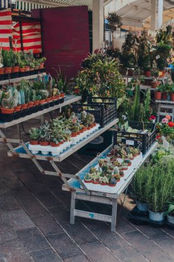 Nice, Fransa - 10 Mart 2022: Vieux Nice 'deki en büyük yaya alanı olan Cours Saleya' daki Marche Aux Fleurs Cours Saleya 'da (Cours Saleya Market) satışta olan saksı bitkileri).