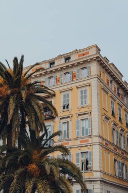 Nice, Fransa 'da geleneksel pastel sarı konut binasının alçak açılı manzarası, önünde palmiye ağacı..