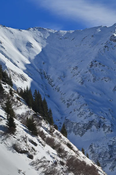 Paesaggio montano invernale — Foto Stock