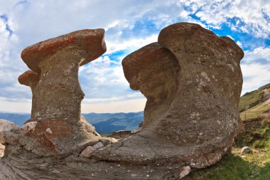 Karpatlar'ın taş grubunda