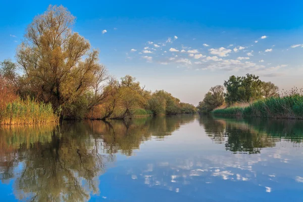 Refleksje nad jeziorem — Zdjęcie stockowe