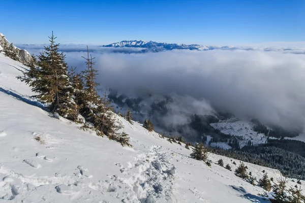 Paisaje de montaña de invierno — Foto de Stock