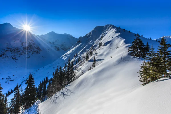 Negoiu 高峰在冬季 — 图库照片
