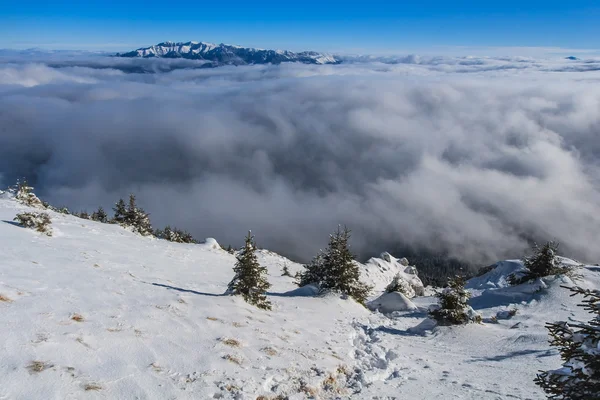 Paisaje de montaña de invierno —  Fotos de Stock