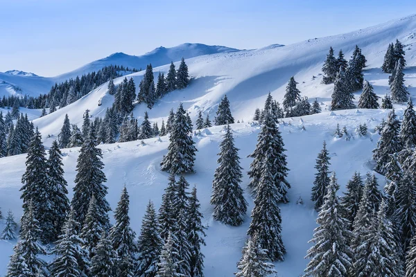 Paisagem de inverno nas montanhas dos Cárpatos — Fotografia de Stock