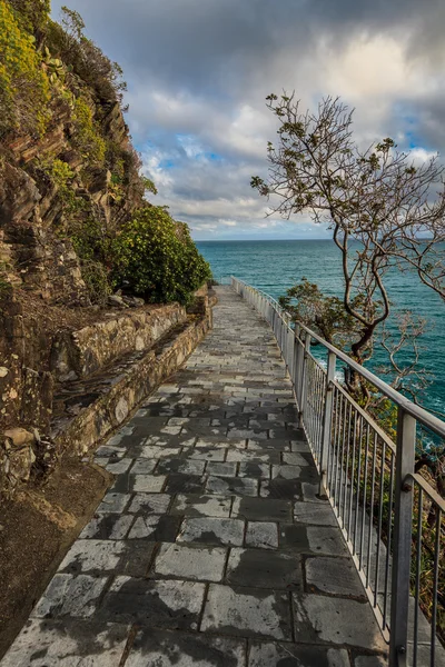 "Via dell'amor "delle Cinque Terre — Foto Stock
