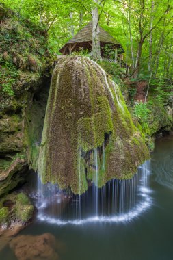 nera beusnita gorges milli park, Romanya bigar art arda düşüyor.
