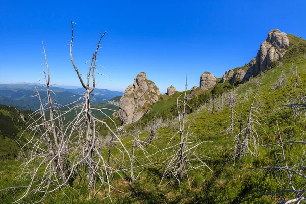 As Montanhas Ciucas — Fotografia de Stock