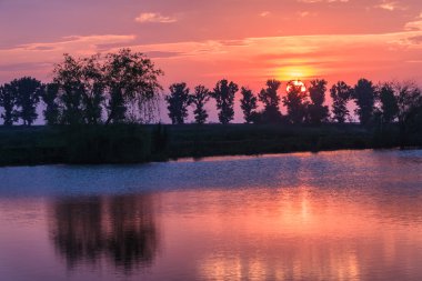 Sunrise ağaçları arasında