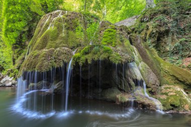 nera beusnita gorges milli park, Romanya bigar art arda düşüyor.