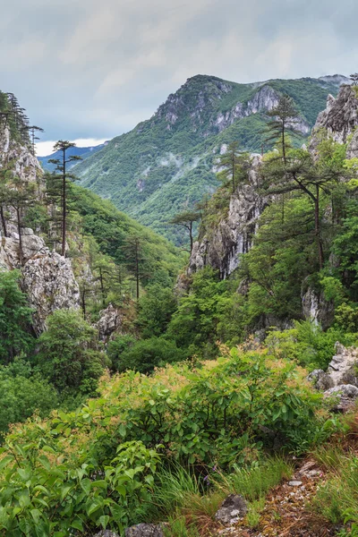 Garganta de Tasnei — Foto de Stock