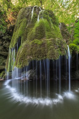 nera beusnita gorges milli park, Romanya bigar art arda düşüyor.
