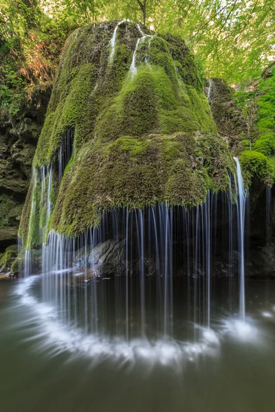 Cascada Bigar Falls en Nera Beusnita Gorges National Park, Rumania . —  Fotos de Stock