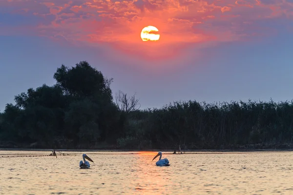 Tuna Deltası'nda gündoğumu