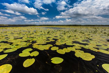 Tuna Deltası, Romanya