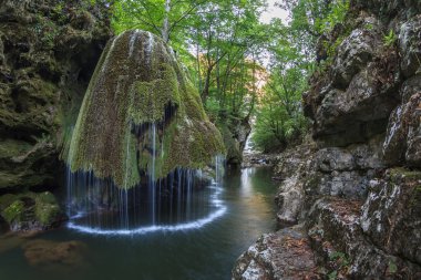 nera beusnita gorges milli park, Romanya bigar art arda düşüyor