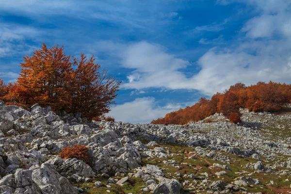 Mehedinti bergen — Stockfoto