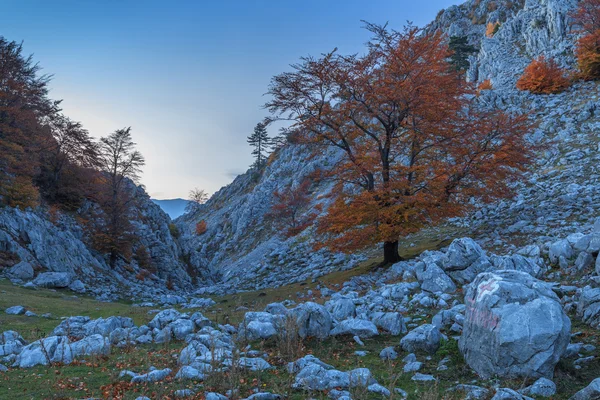 Berglandschap — Stockfoto