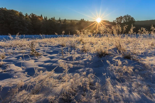 Nascer do sol no inverno — Fotografia de Stock