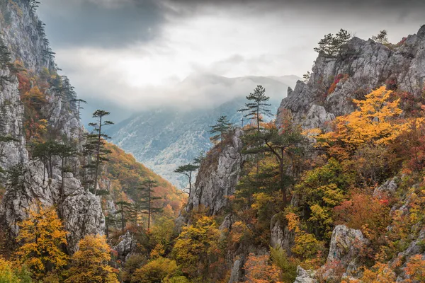 Tasnei Gorge, Romania — Stock Photo, Image