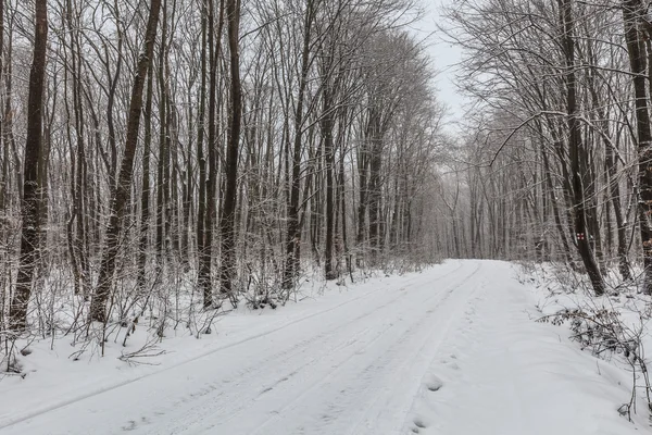 Estrada rústica no inverno — Fotografia de Stock
