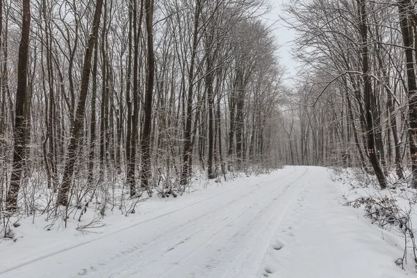 Rustic road in winter — Stock Photo, Image