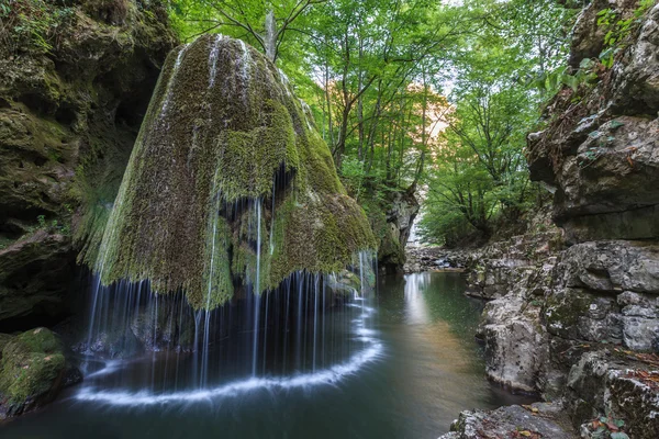 Nera beusnita gorges milli park, Romanya bigar art arda düşüyor — Stok fotoğraf