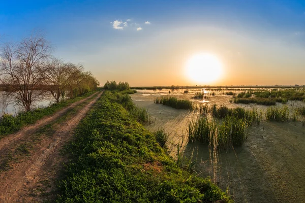 Sunset on the lake — Stock Photo, Image