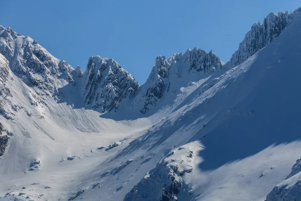 Les monts Fagaras en hiver — Photo