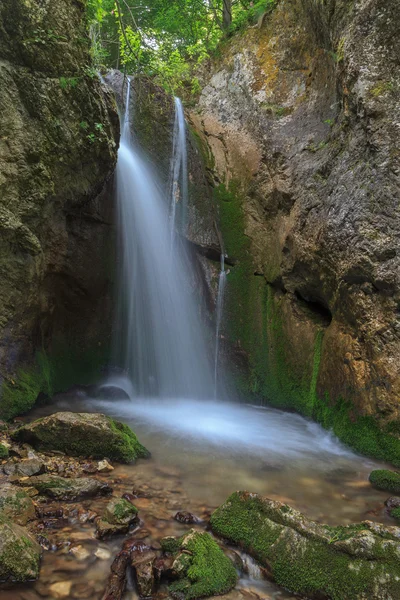 在峡谷 tasnei 流。百乐 herculane 罗马尼亚 — 图库照片
