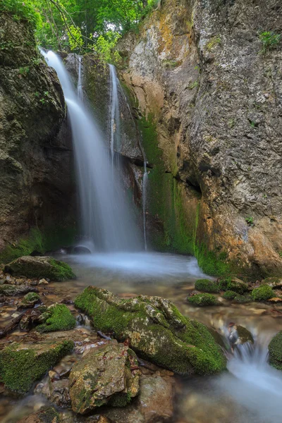 在峡谷 tasnei 流。百乐 herculane 罗马尼亚 — 图库照片