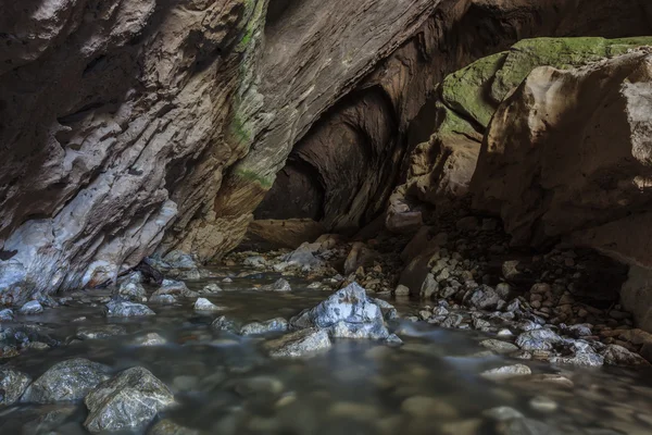 Stream Ponicova — Stock Photo, Image