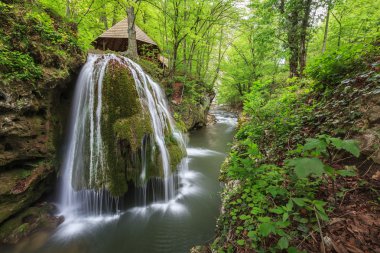 Bigar Cascade Falls in Nera Beusnita Gorges National Park, Romania clipart