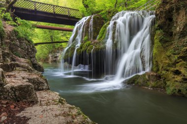 nera beusnita gorges milli park, Romanya bigar art arda düşüyor