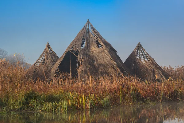 Comana Natural Park, Romania — Stock Photo, Image